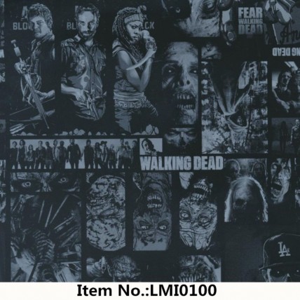 LMI0100