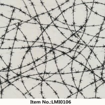 LMI0106