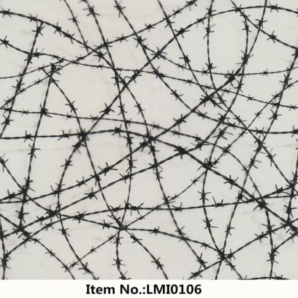 LMI0106
