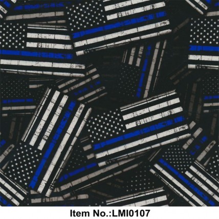 LMI0107