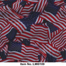LMI0109