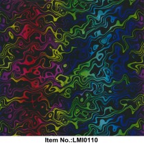 LMI0110