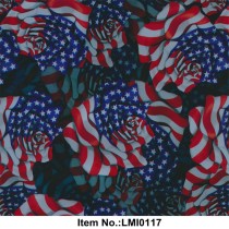 LMI0117