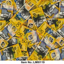 LMI0119