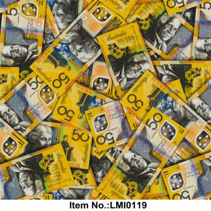 LMI0119