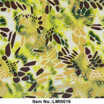 LMI0016