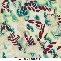 LMI0017