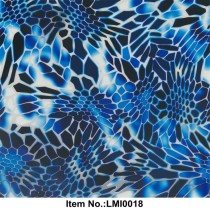 LMI0018