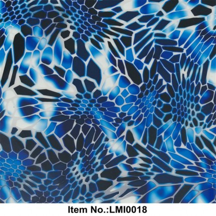 LMI0018